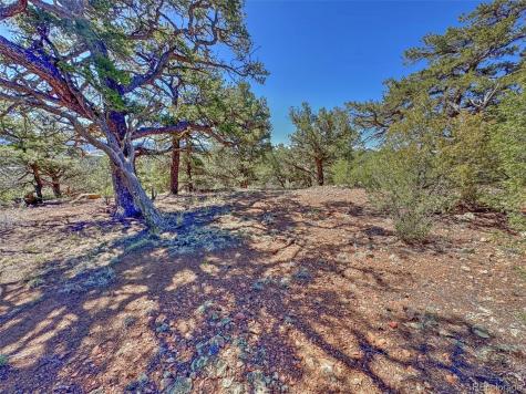 176 Bel Air Way Cotopaxi CO 81223