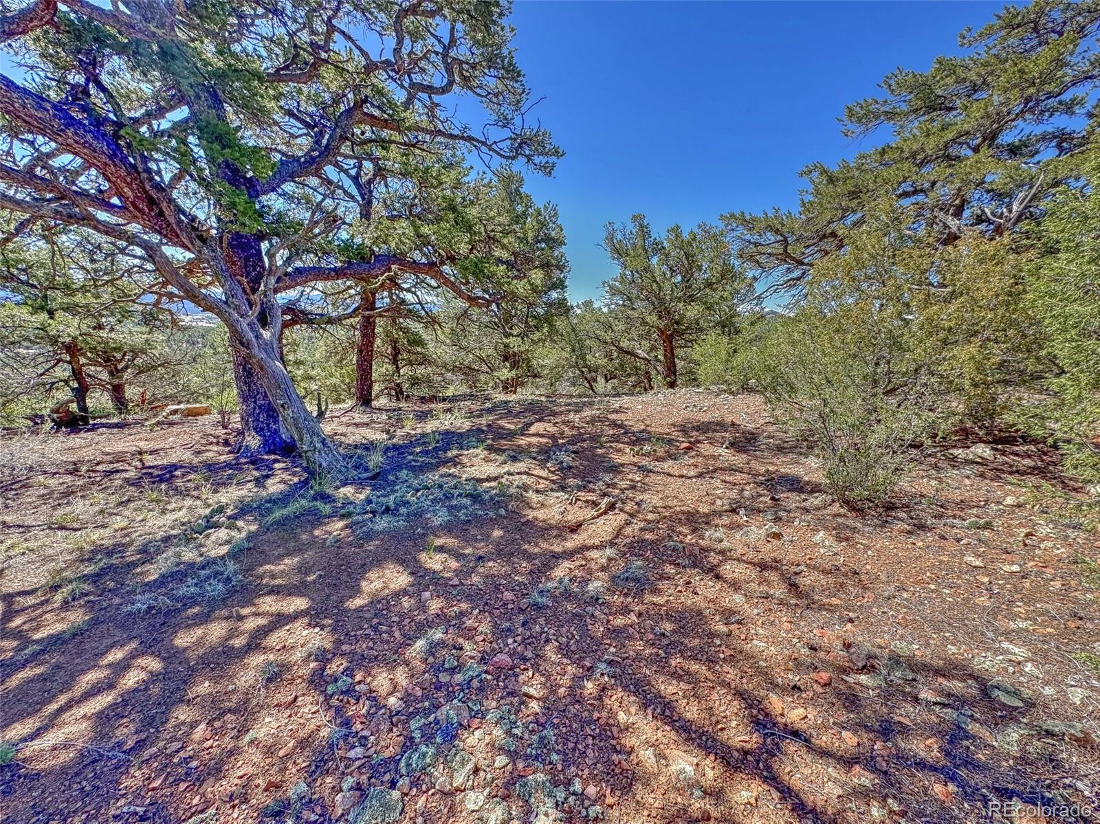 176 Bel Air Way Cotopaxi CO 81223
