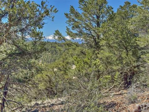 176 Bel Air Way Cotopaxi CO 81223
