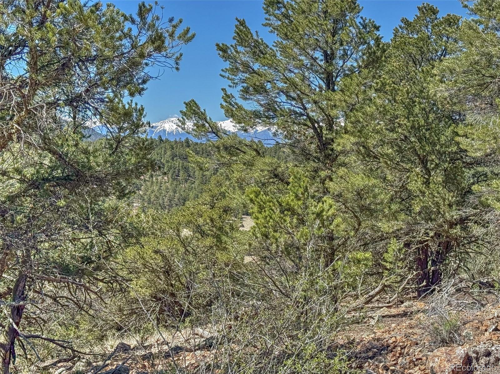 176 Bel Air Way Cotopaxi CO 81223