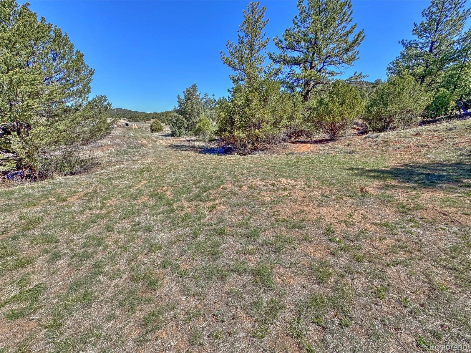 176 Bel Air Way Cotopaxi CO 81223