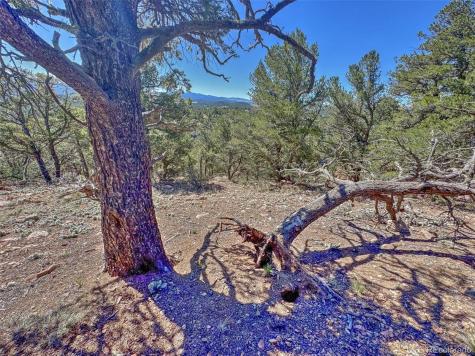 176 Bel Air Way Cotopaxi CO 81223