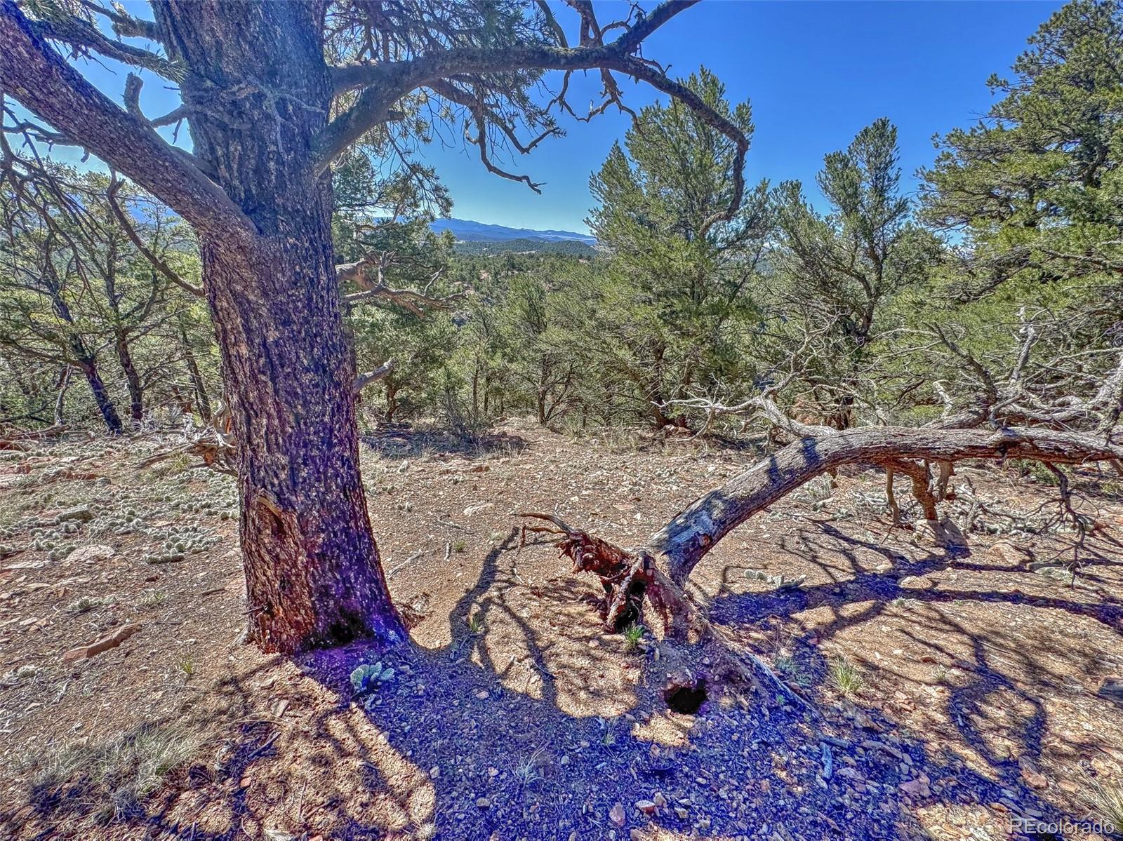 176 Bel Air Way Cotopaxi CO 81223