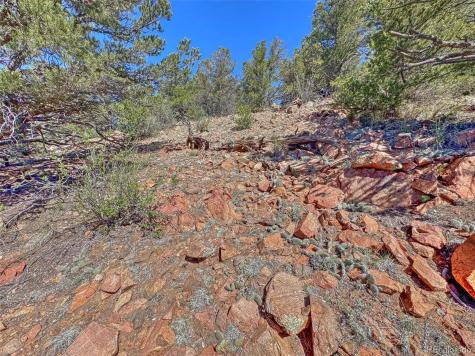 176 Bel Air Way Cotopaxi CO 81223