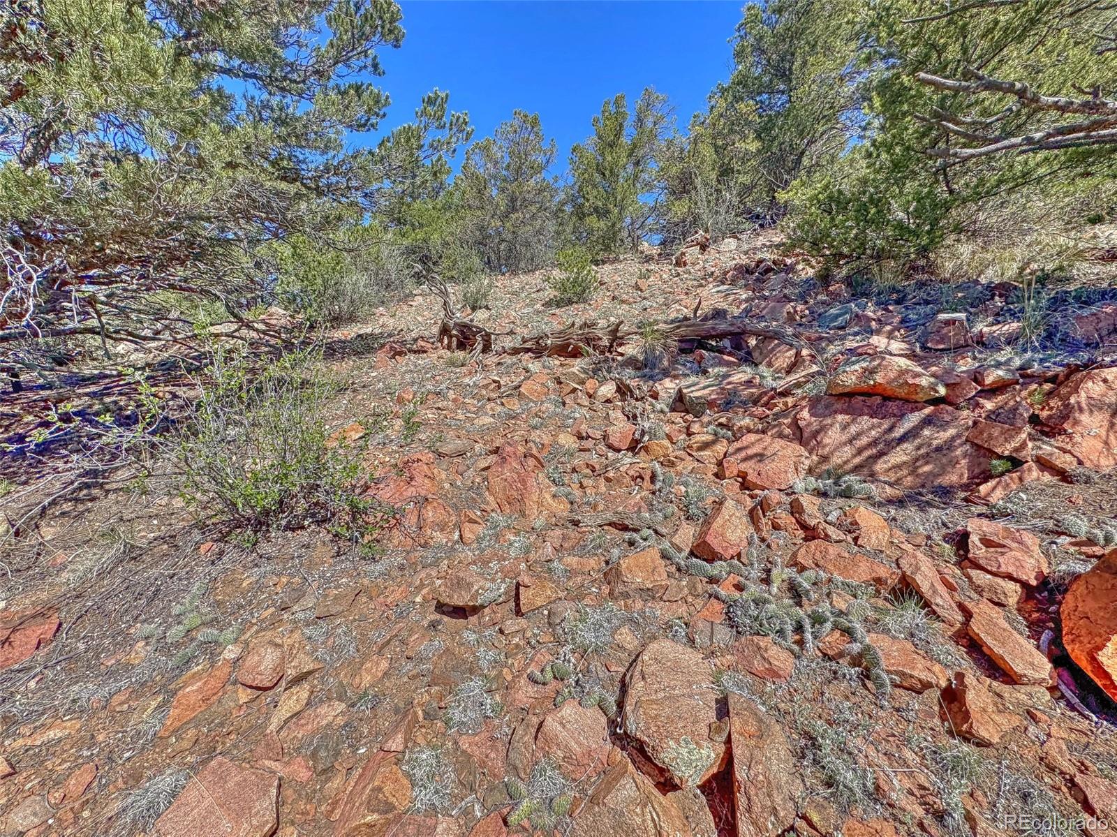 176 Bel Air Way Cotopaxi CO 81223