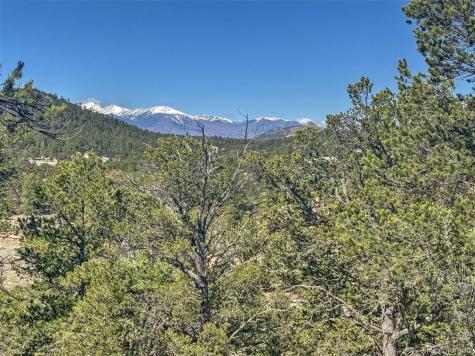 176 Bel Air Way Cotopaxi CO 81223