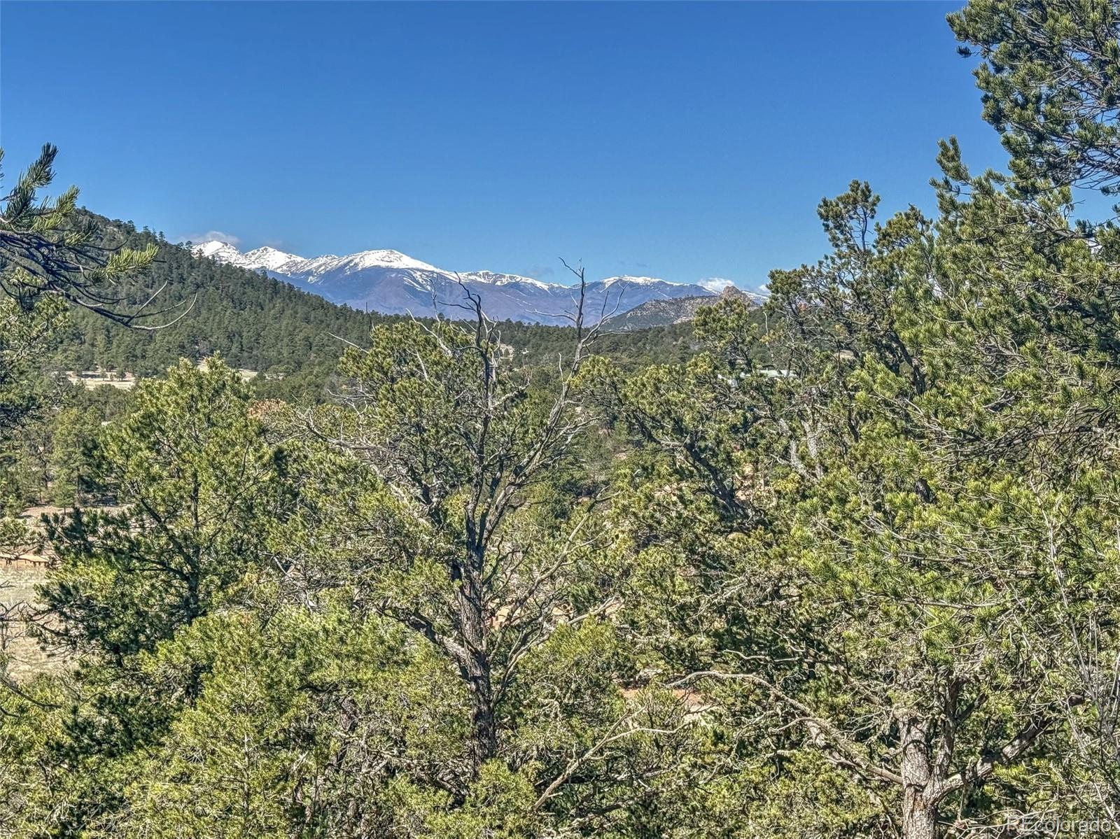 176 Bel Air Way Cotopaxi CO 81223