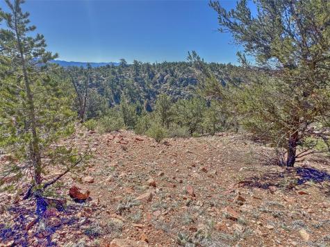 176 Bel Air Way Cotopaxi CO 81223