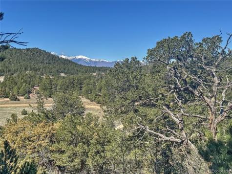 176 Bel Air Way Cotopaxi CO 81223