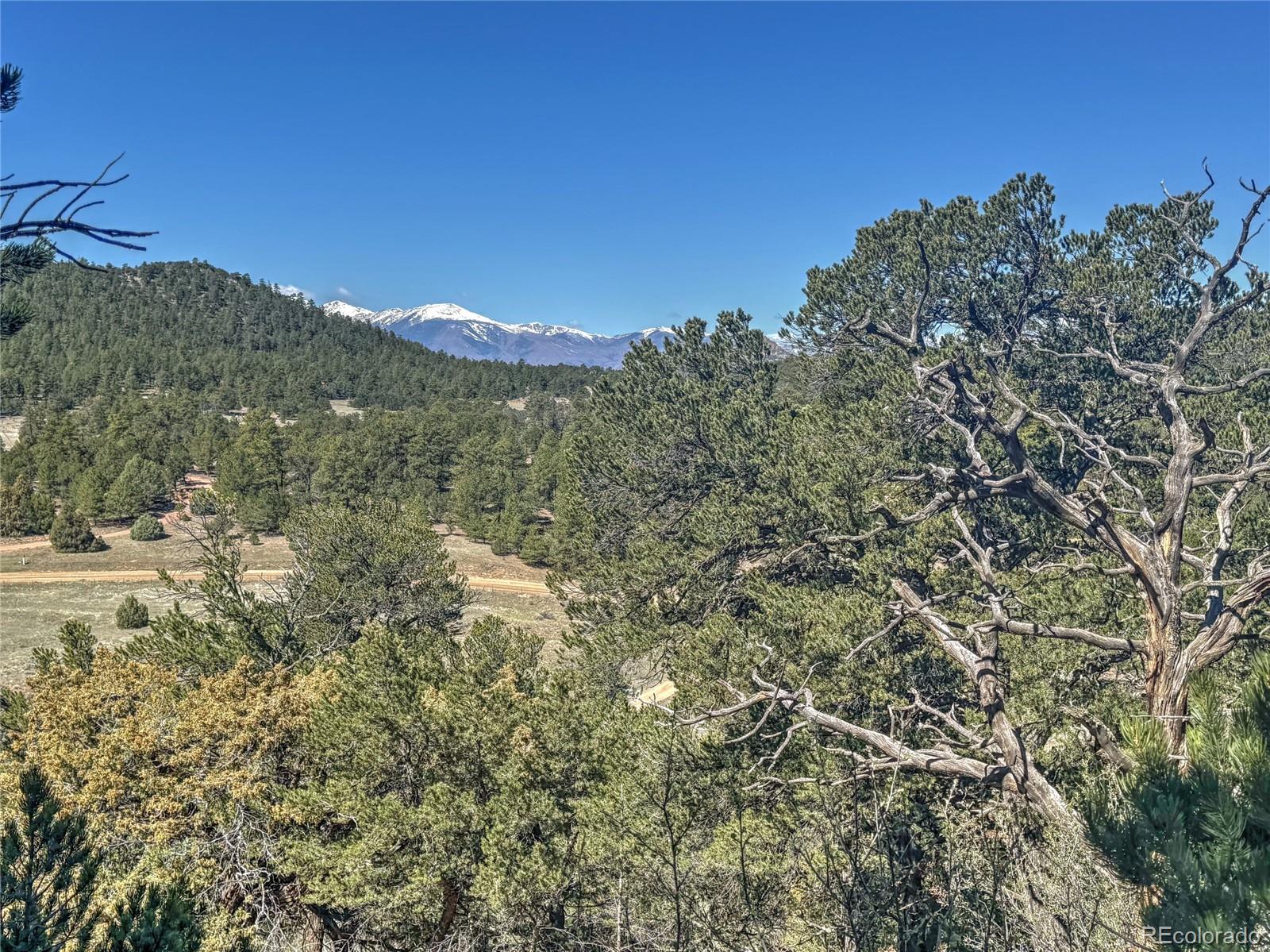176 Bel Air Way Cotopaxi CO 81223
