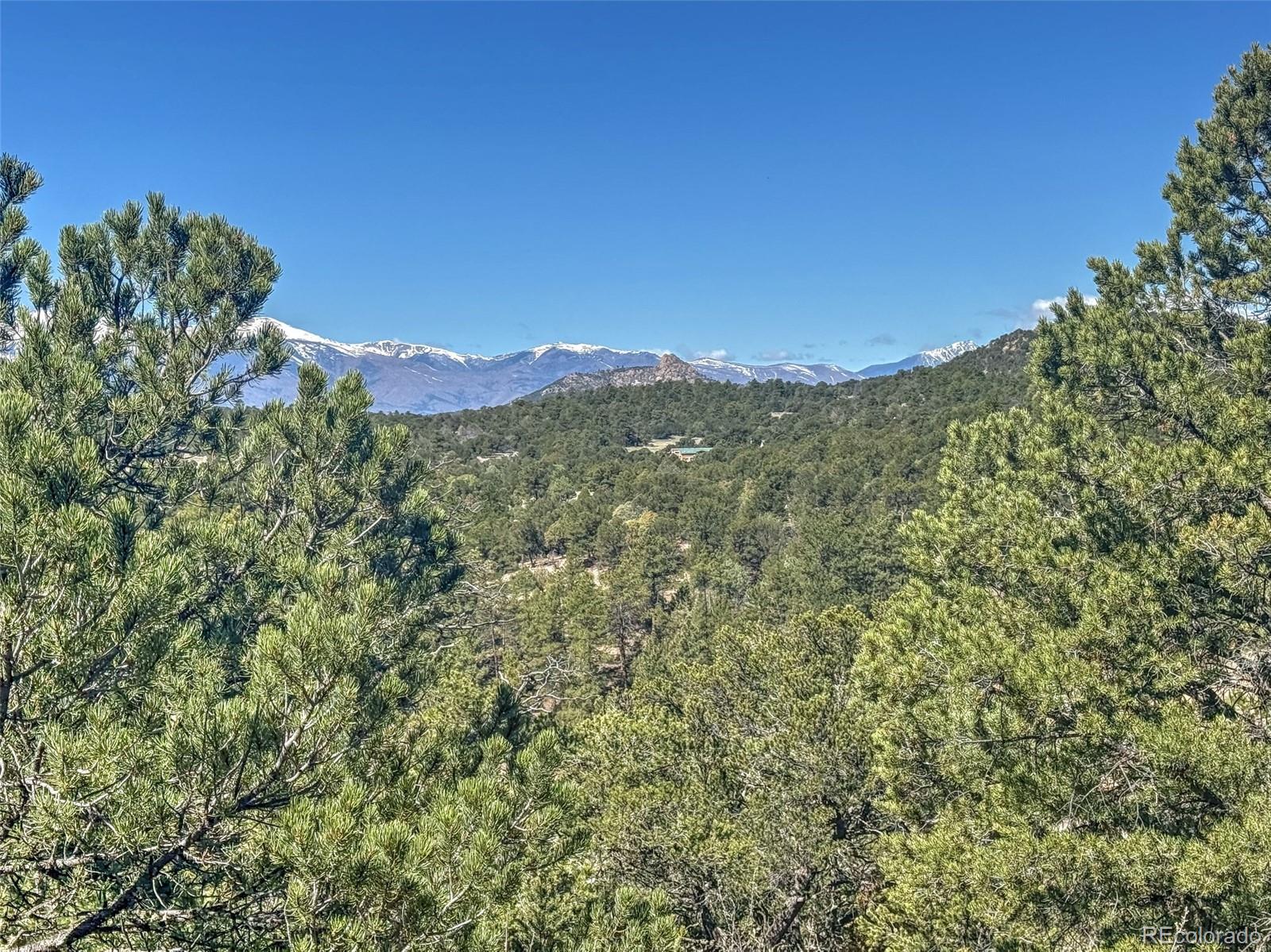 176 Bel Air Way Cotopaxi CO 81223