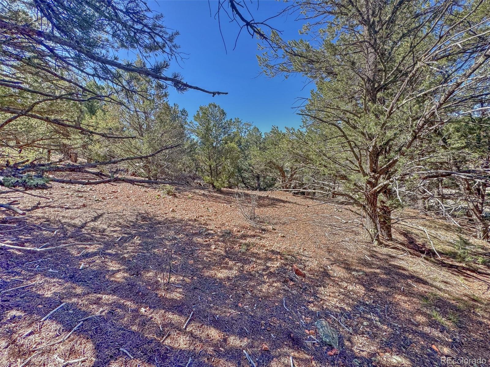 176 Bel Air Way Cotopaxi CO 81223