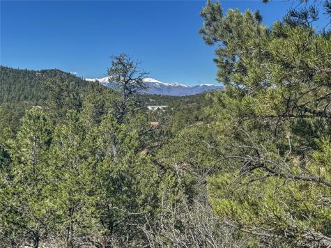 176 Bel Air Way Cotopaxi CO 81223