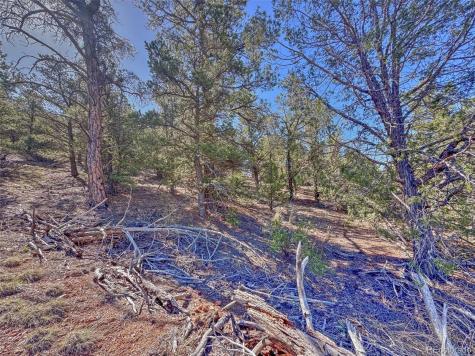176 Bel Air Way Cotopaxi CO 81223