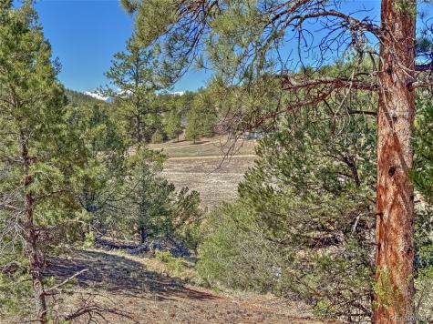 176 Bel Air Way Cotopaxi CO 81223