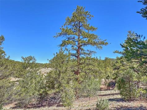 176 Bel Air Way Cotopaxi CO 81223