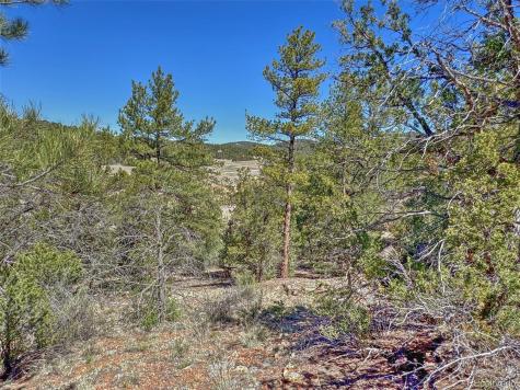 176 Bel Air Way Cotopaxi CO 81223