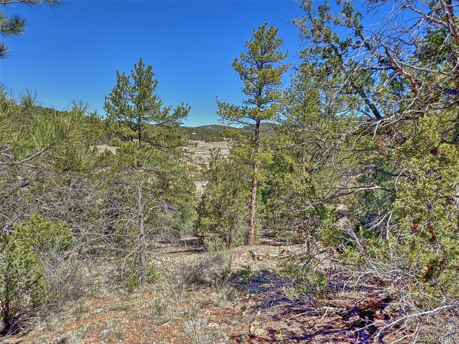 176 Bel Air Way Cotopaxi CO 81223