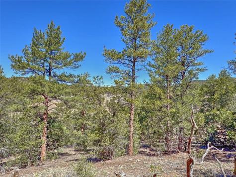176 Bel Air Way Cotopaxi CO 81223