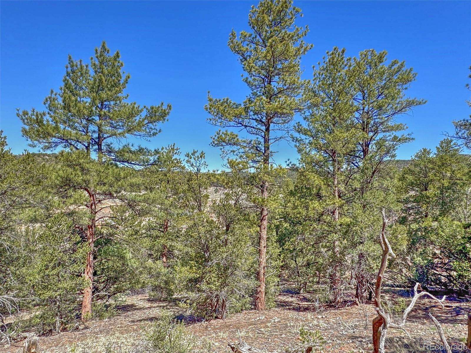 176 Bel Air Way Cotopaxi CO 81223