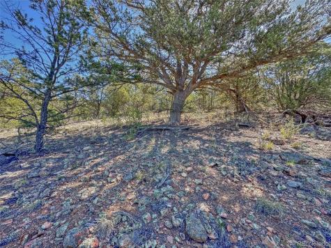176 Bel Air Way Cotopaxi CO 81223