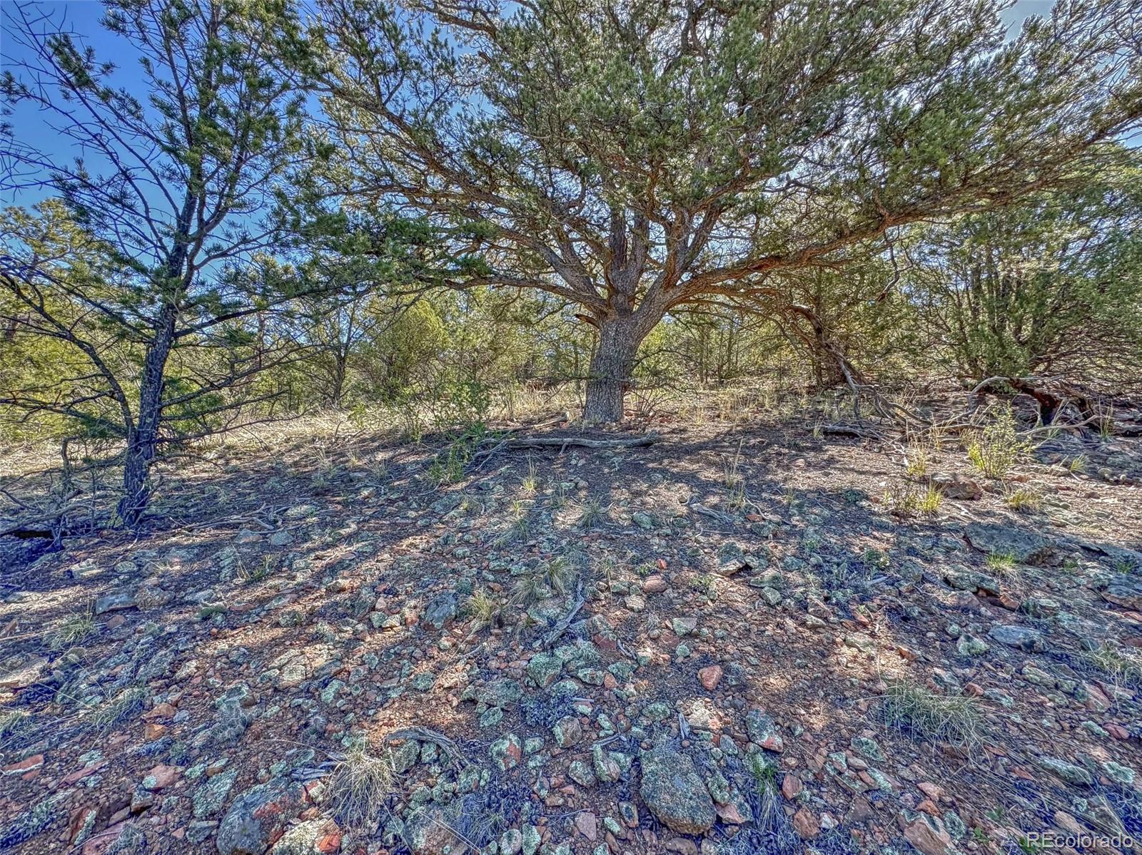 176 Bel Air Way Cotopaxi CO 81223