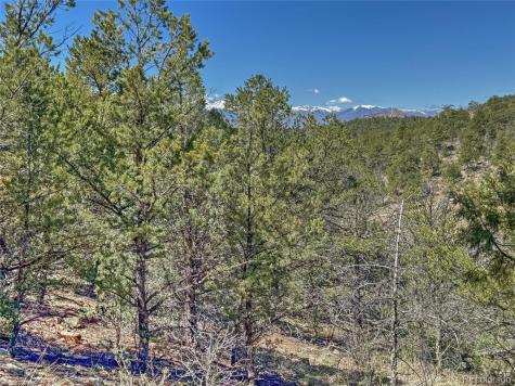 176 Bel Air Way Cotopaxi CO 81223