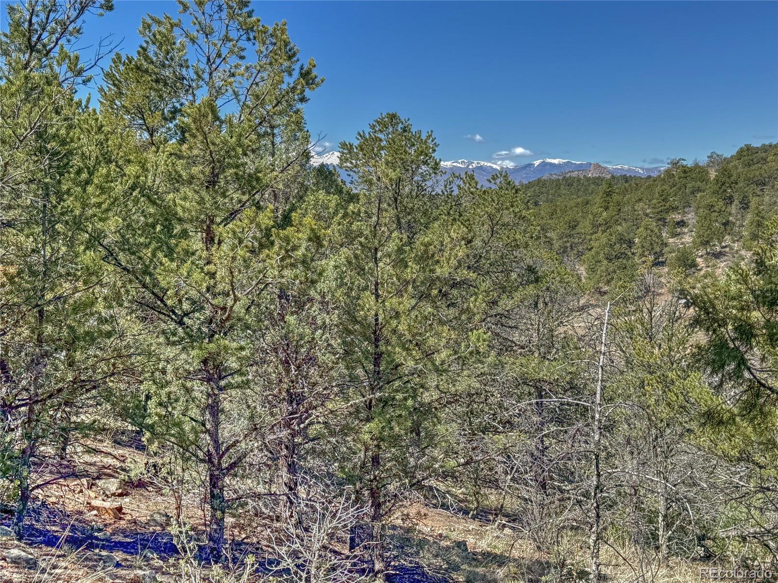 176 Bel Air Way Cotopaxi CO 81223