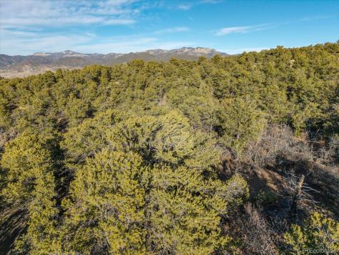 5450 Longbranch Road Salida CO 81201