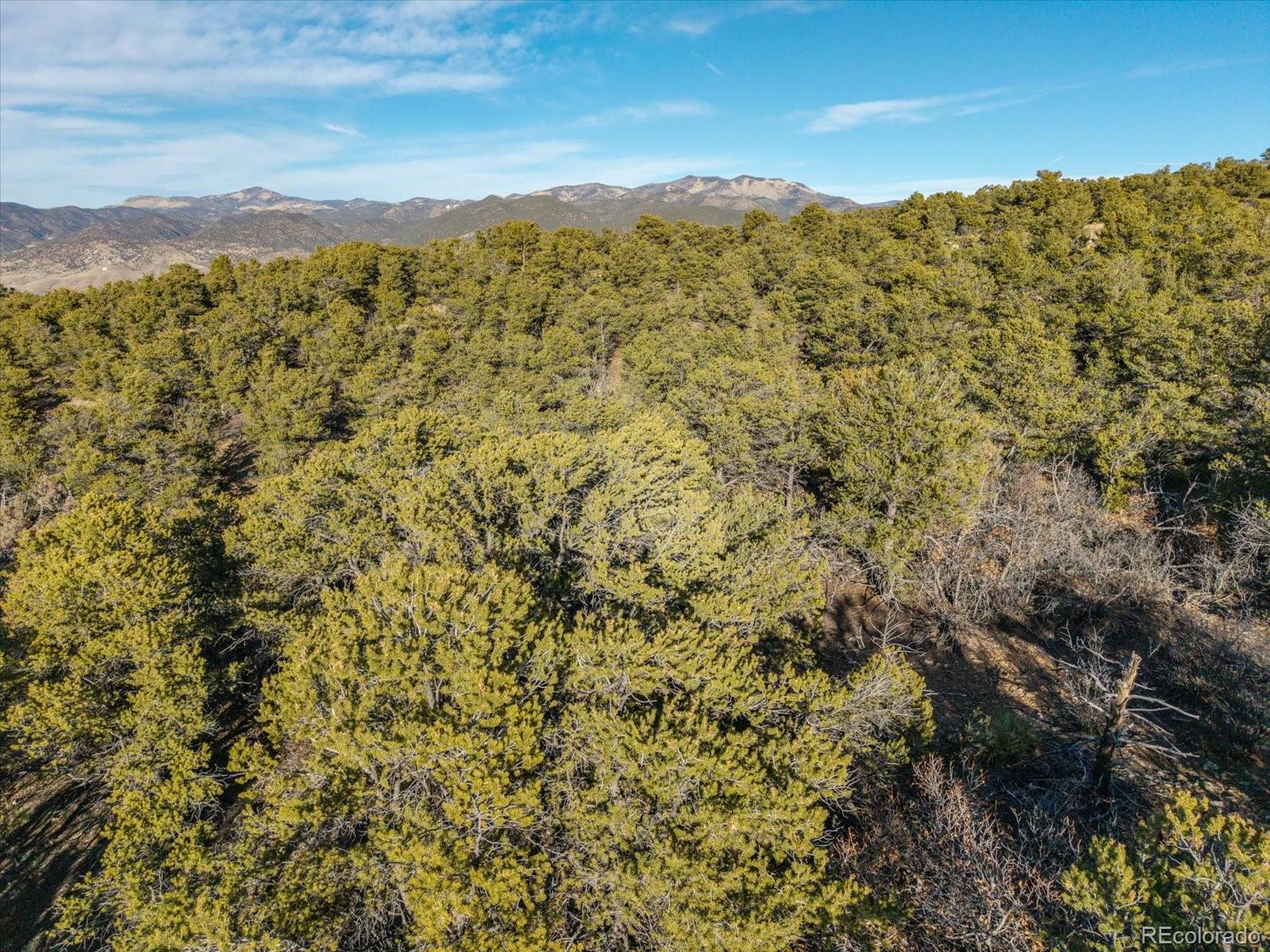 5450 Longbranch Road Salida CO 81201