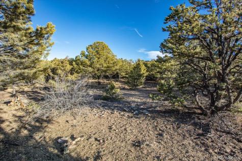 5450 Longbranch Road Salida CO 81201