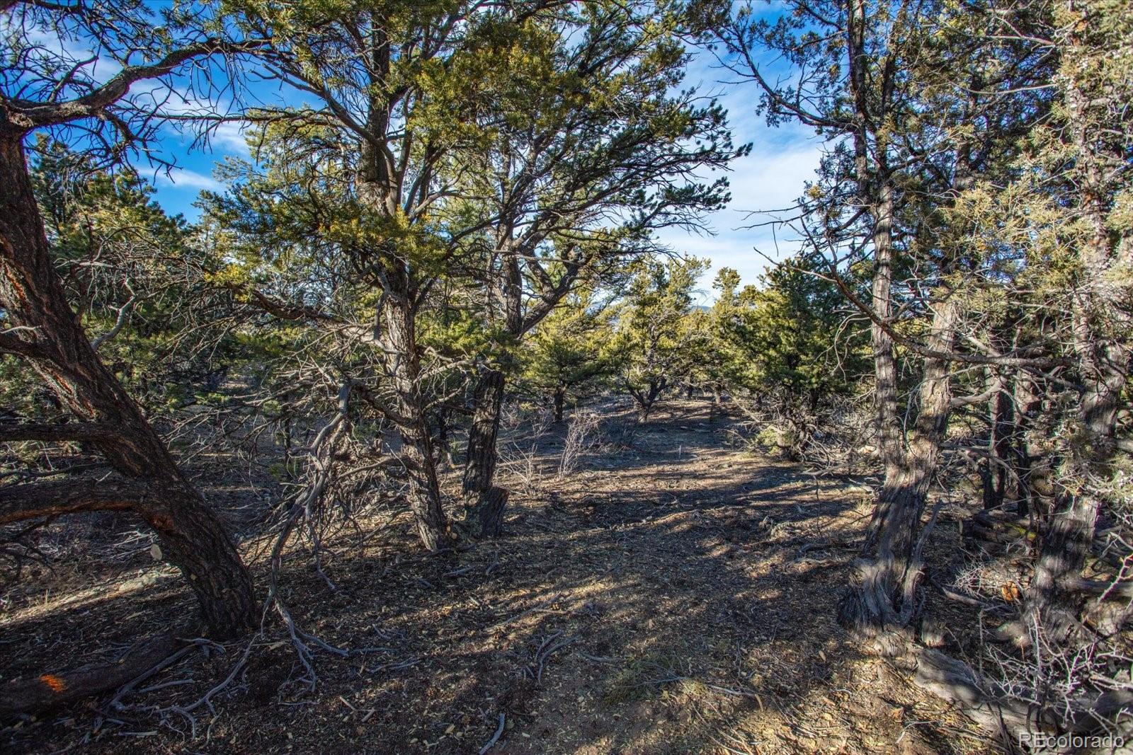 5450 Longbranch Road Salida CO 81201