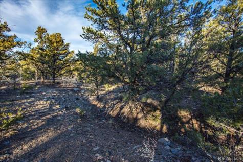 5450 Longbranch Road Salida CO 81201