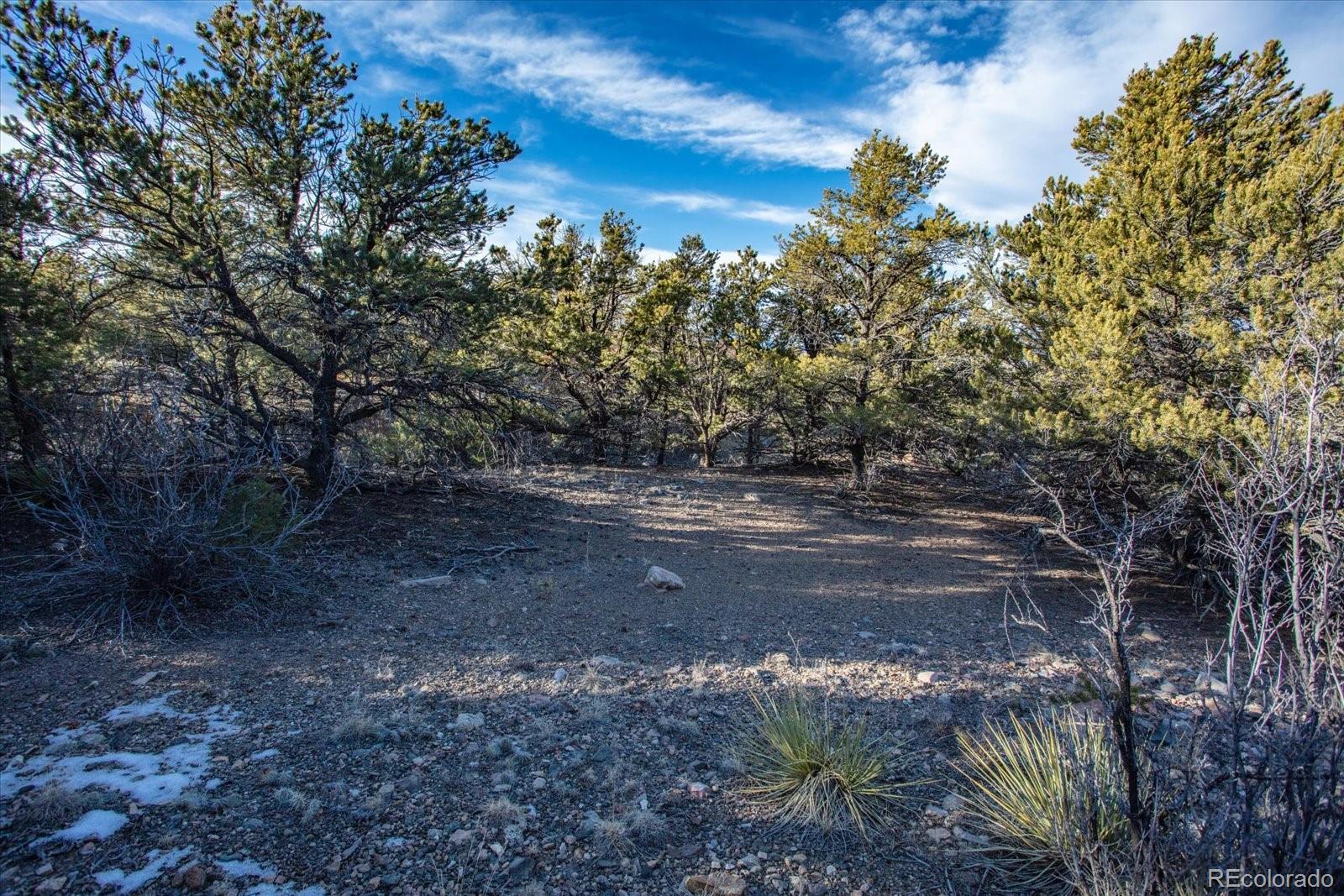 5450 Longbranch Road Salida CO 81201