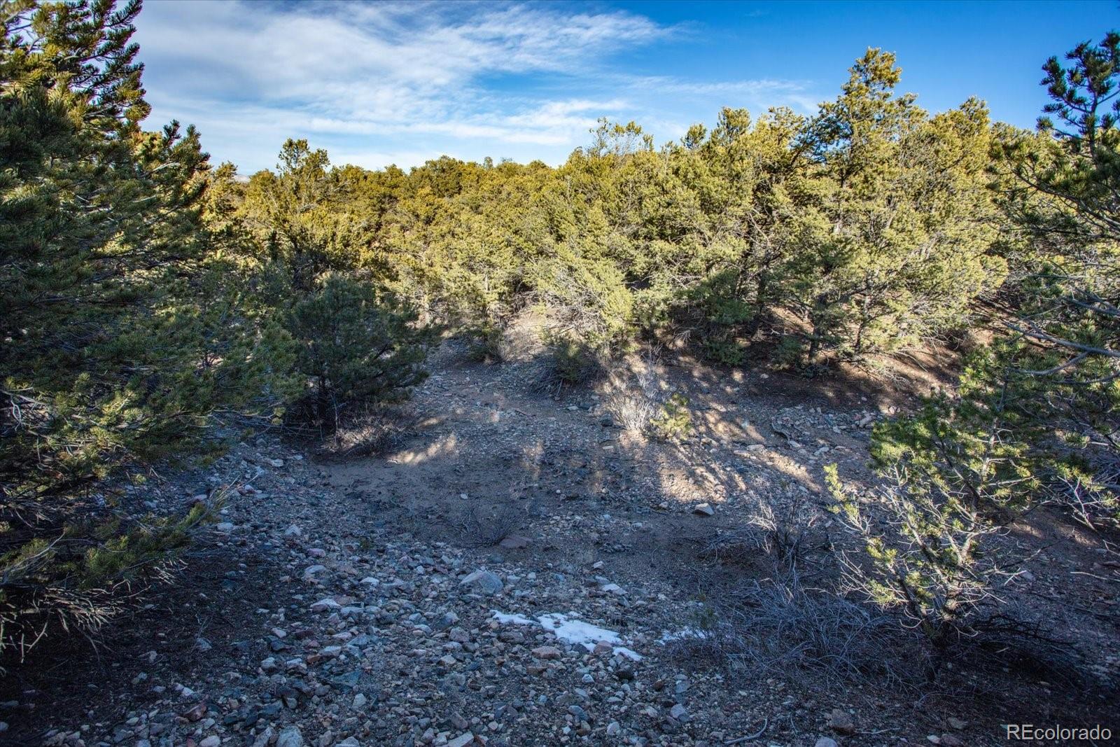 5450 Longbranch Road Salida CO 81201