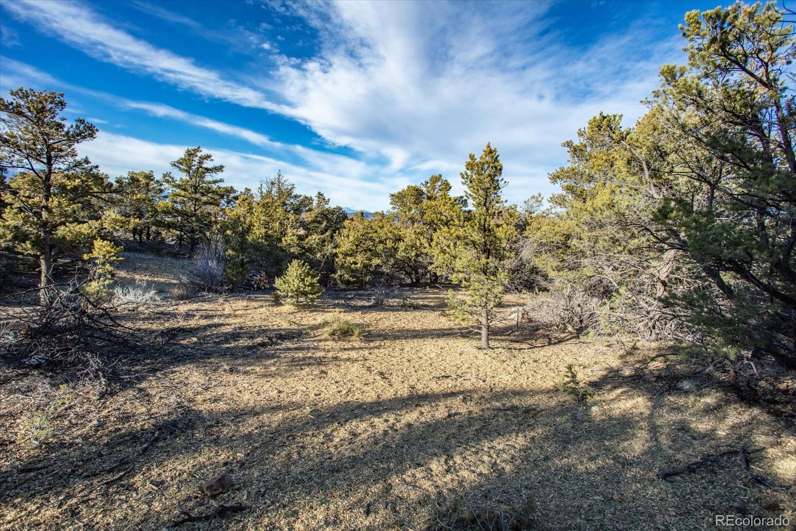 5450 Longbranch Road Salida CO 81201
