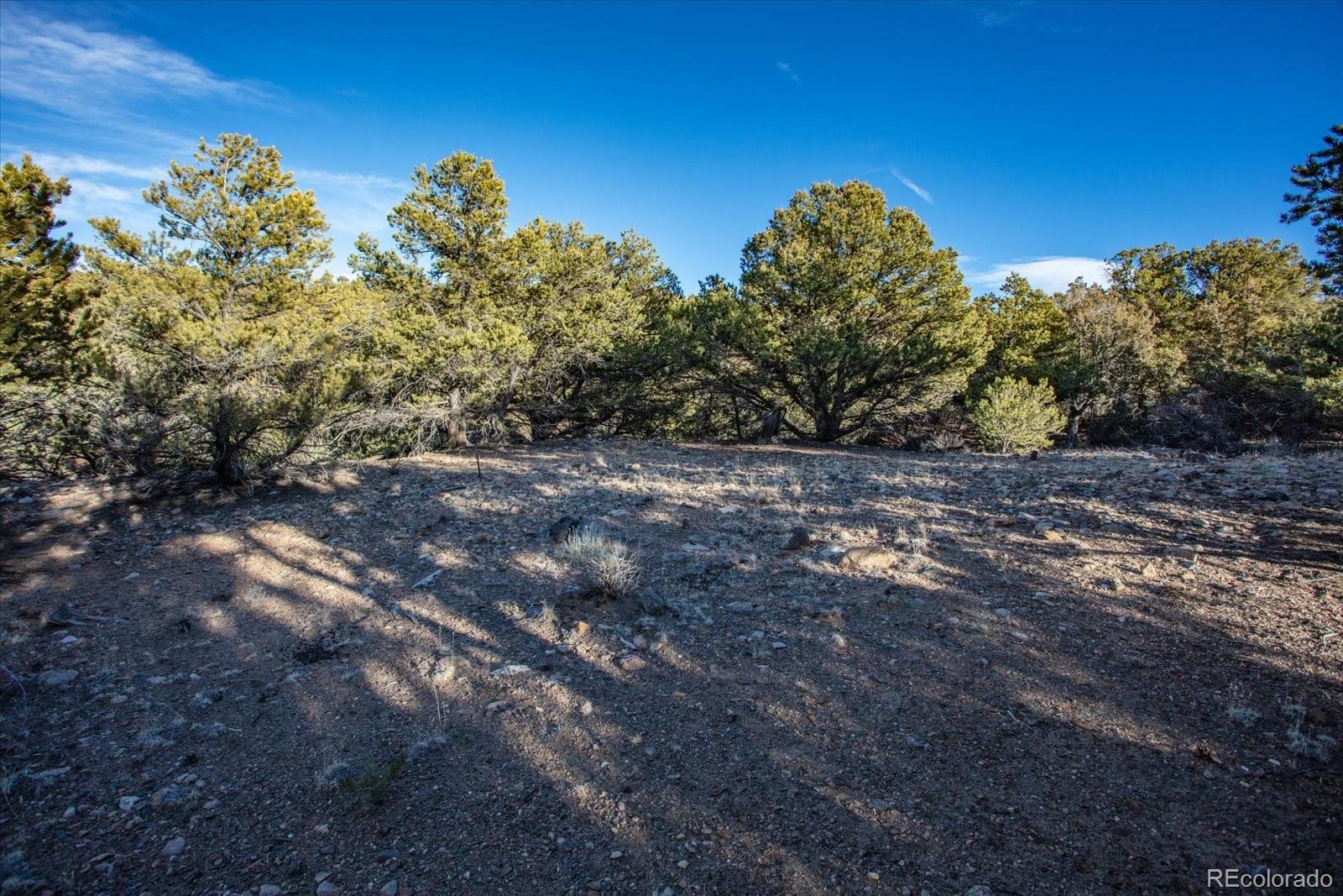 5450 Longbranch Road Salida CO 81201
