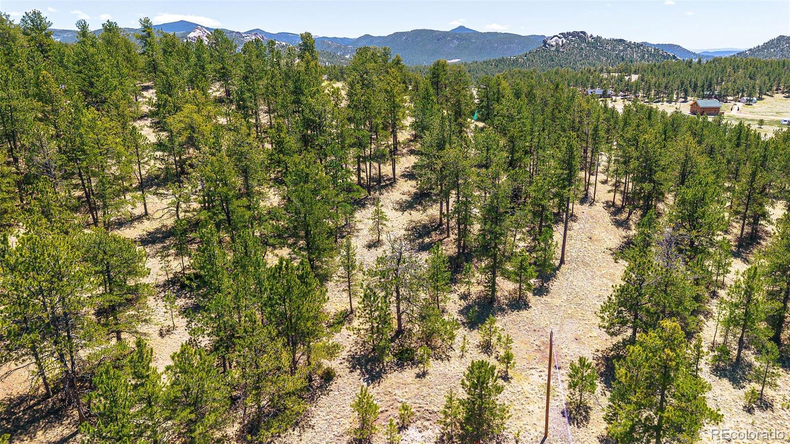 56 Dallas Park Circle Florissant CO 80816
