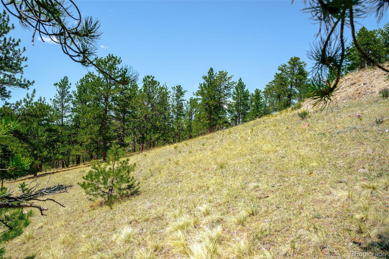 56 Dallas Park Circle Florissant CO 80816