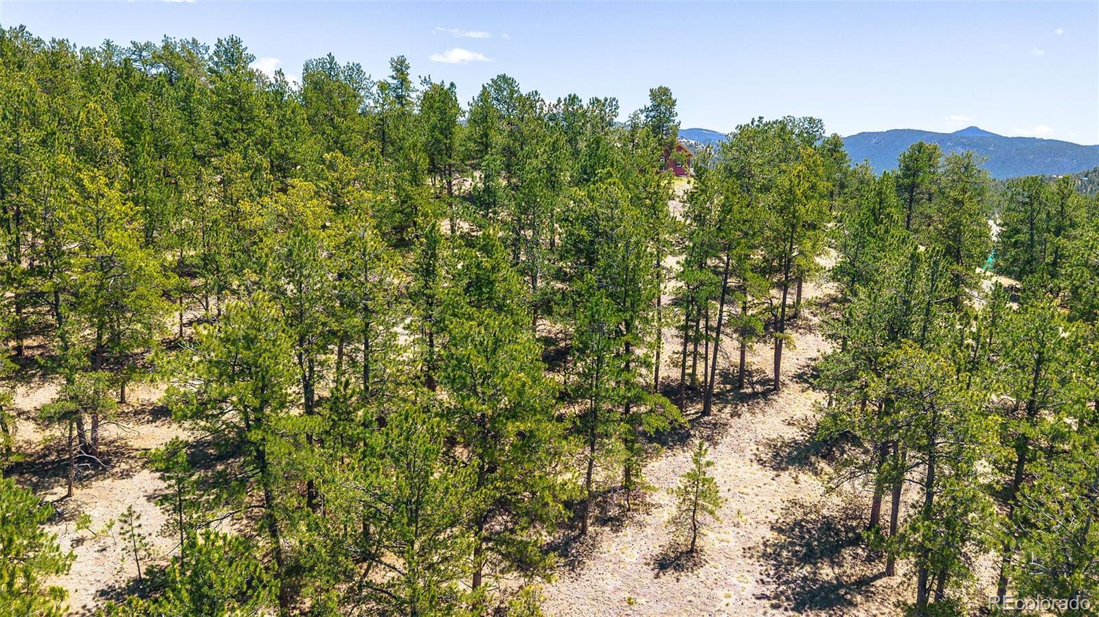 56 Dallas Park Circle Florissant CO 80816