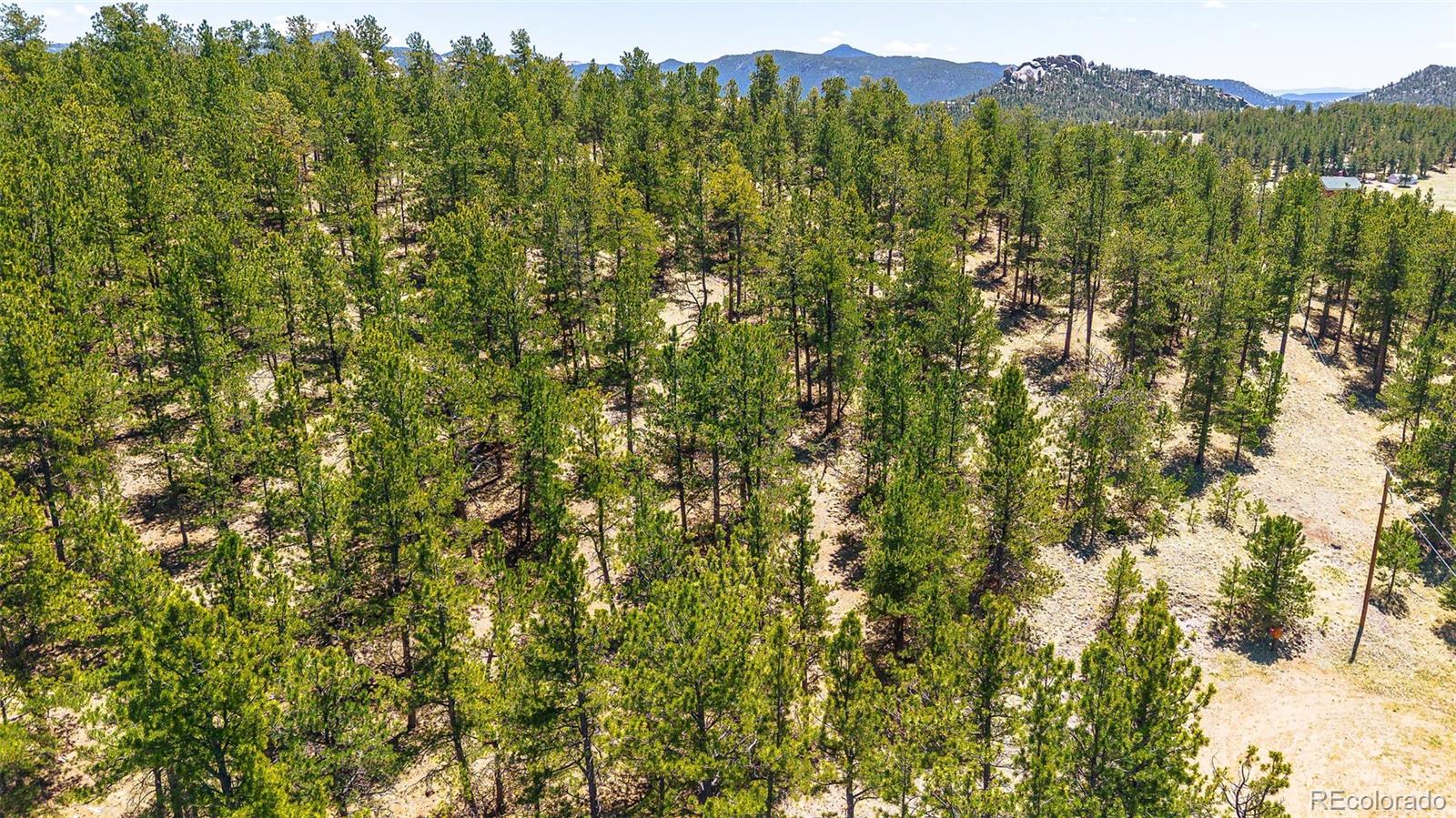 56 Dallas Park Circle Florissant CO 80816