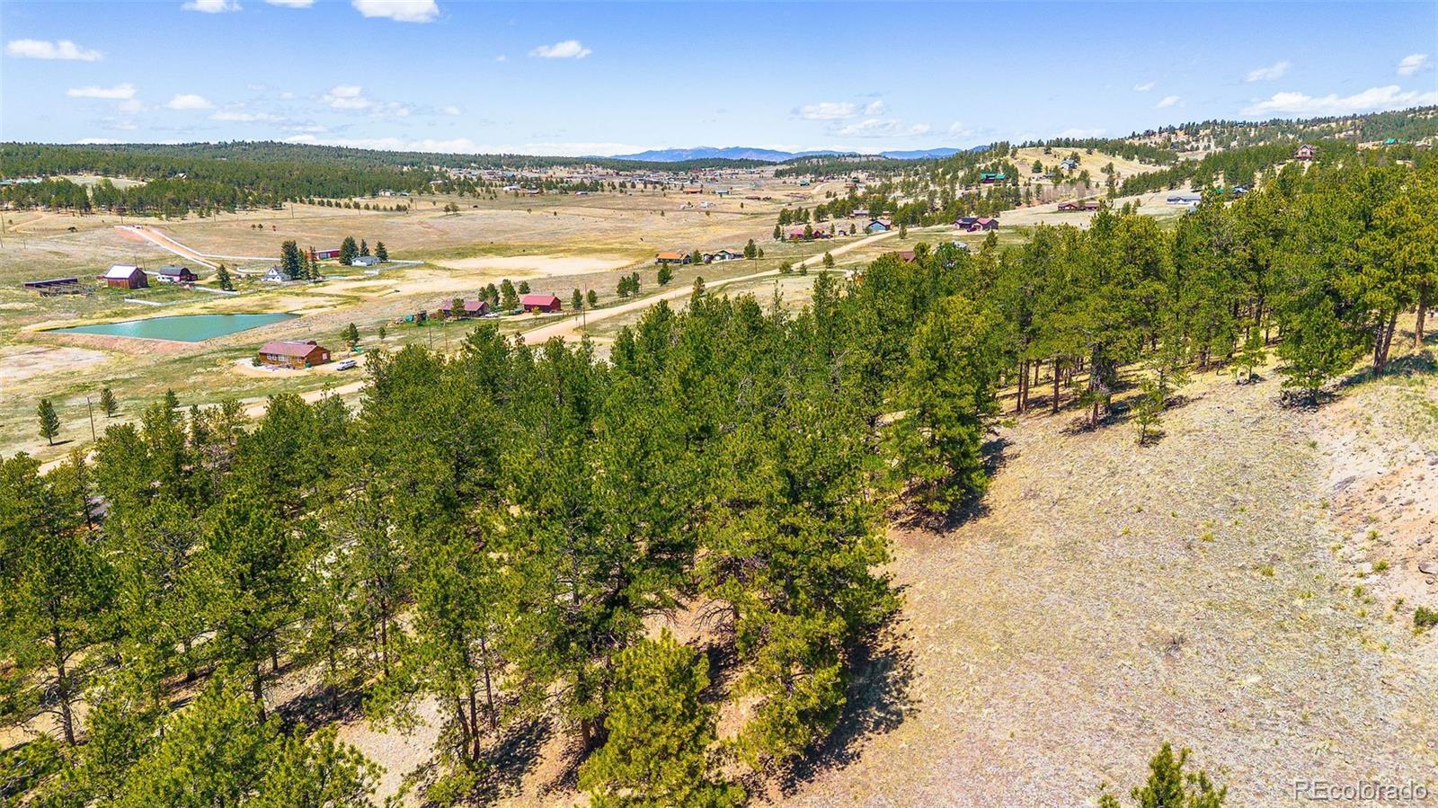 56 Dallas Park Circle Florissant CO 80816