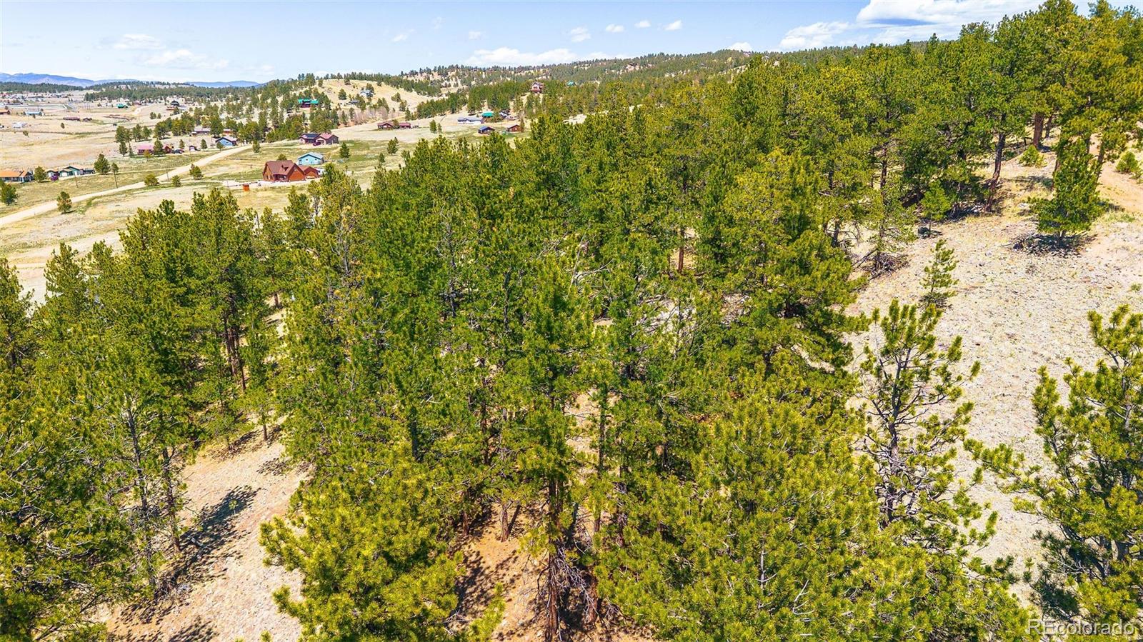 56 Dallas Park Circle Florissant CO 80816