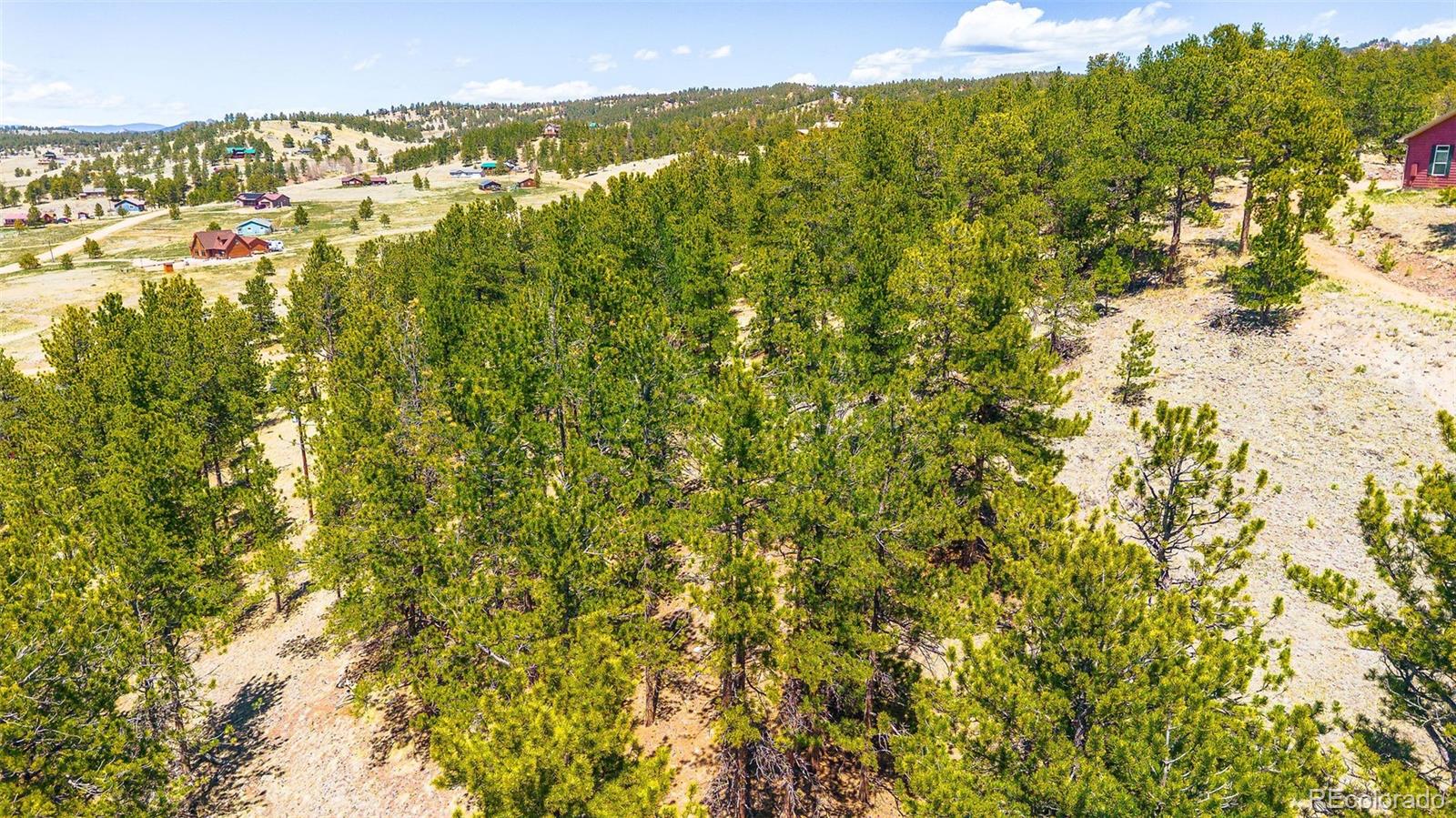 56 Dallas Park Circle Florissant CO 80816