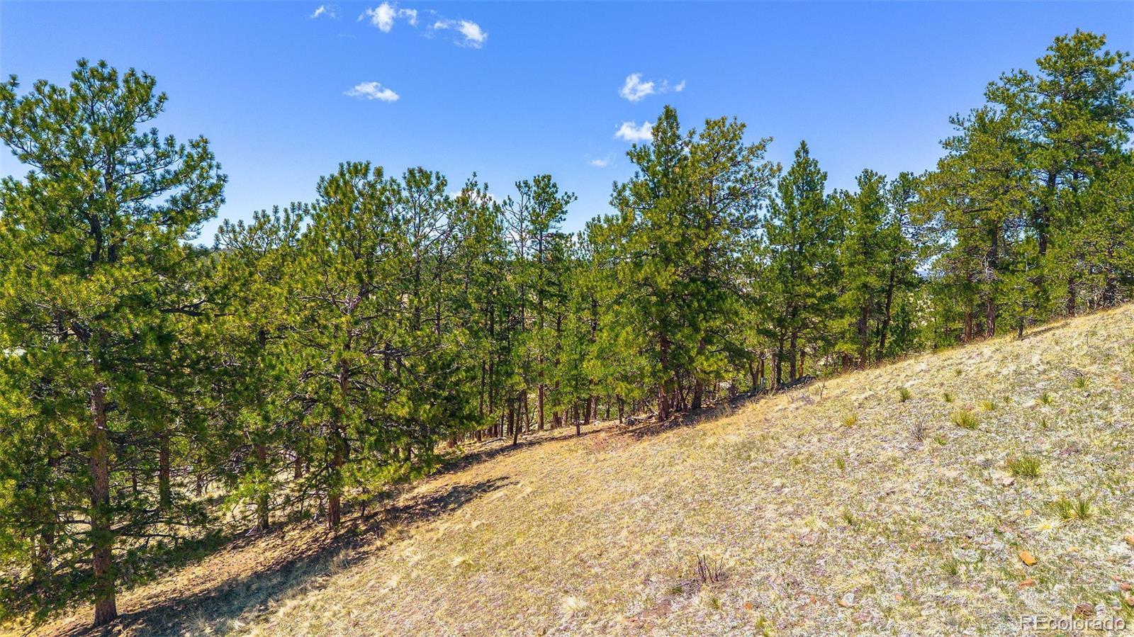 56 Dallas Park Circle Florissant CO 80816
