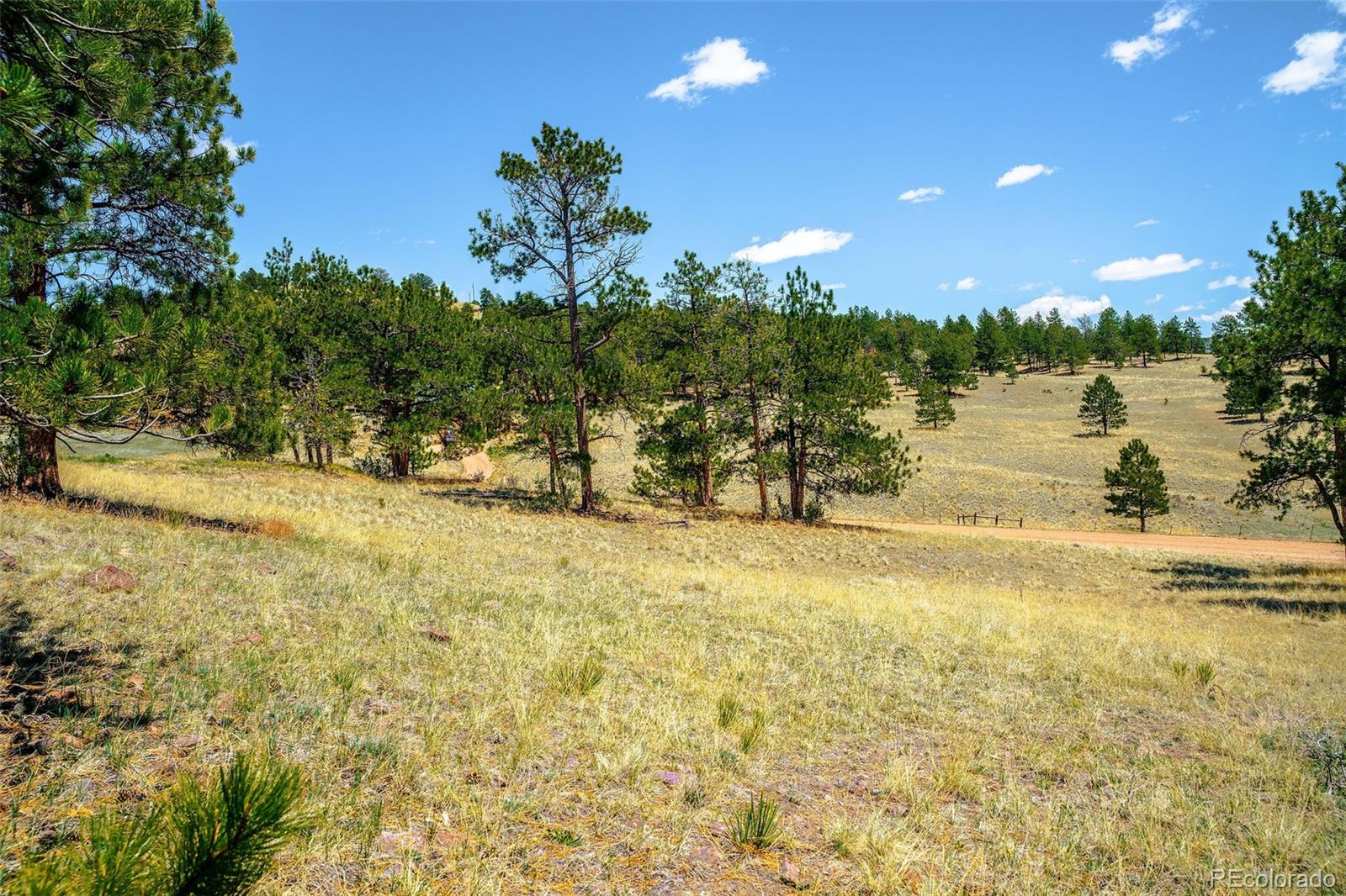 56 Dallas Park Circle Florissant CO 80816