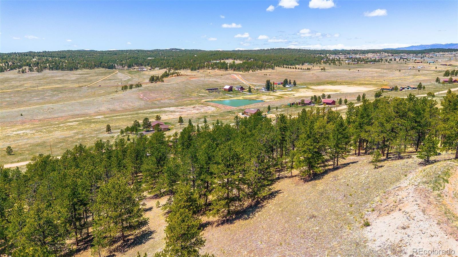 56 Dallas Park Circle Florissant CO 80816