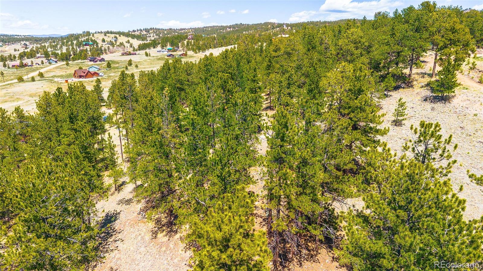 56 Dallas Park Circle Florissant CO 80816
