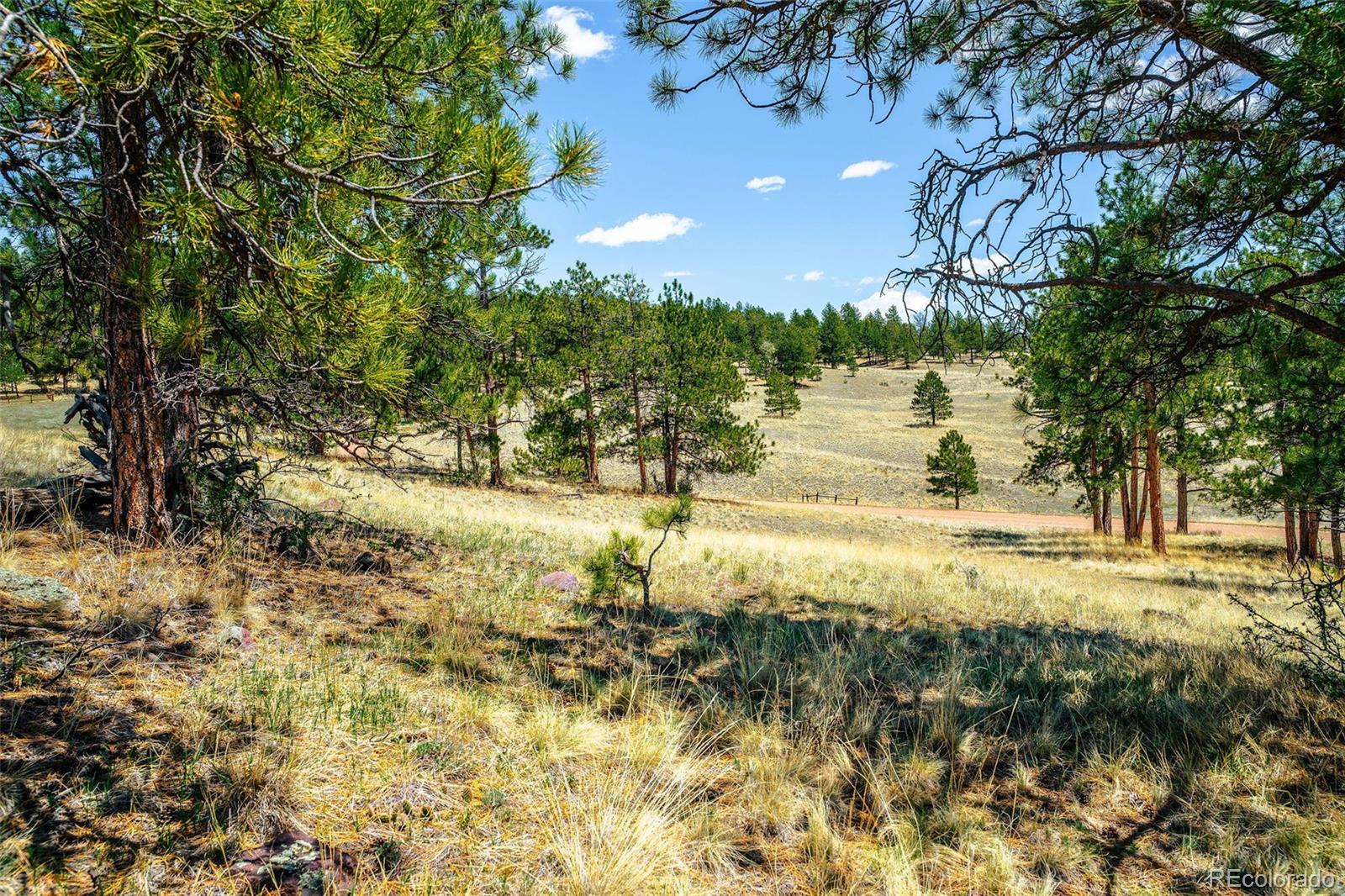 56 Dallas Park Circle Florissant CO 80816