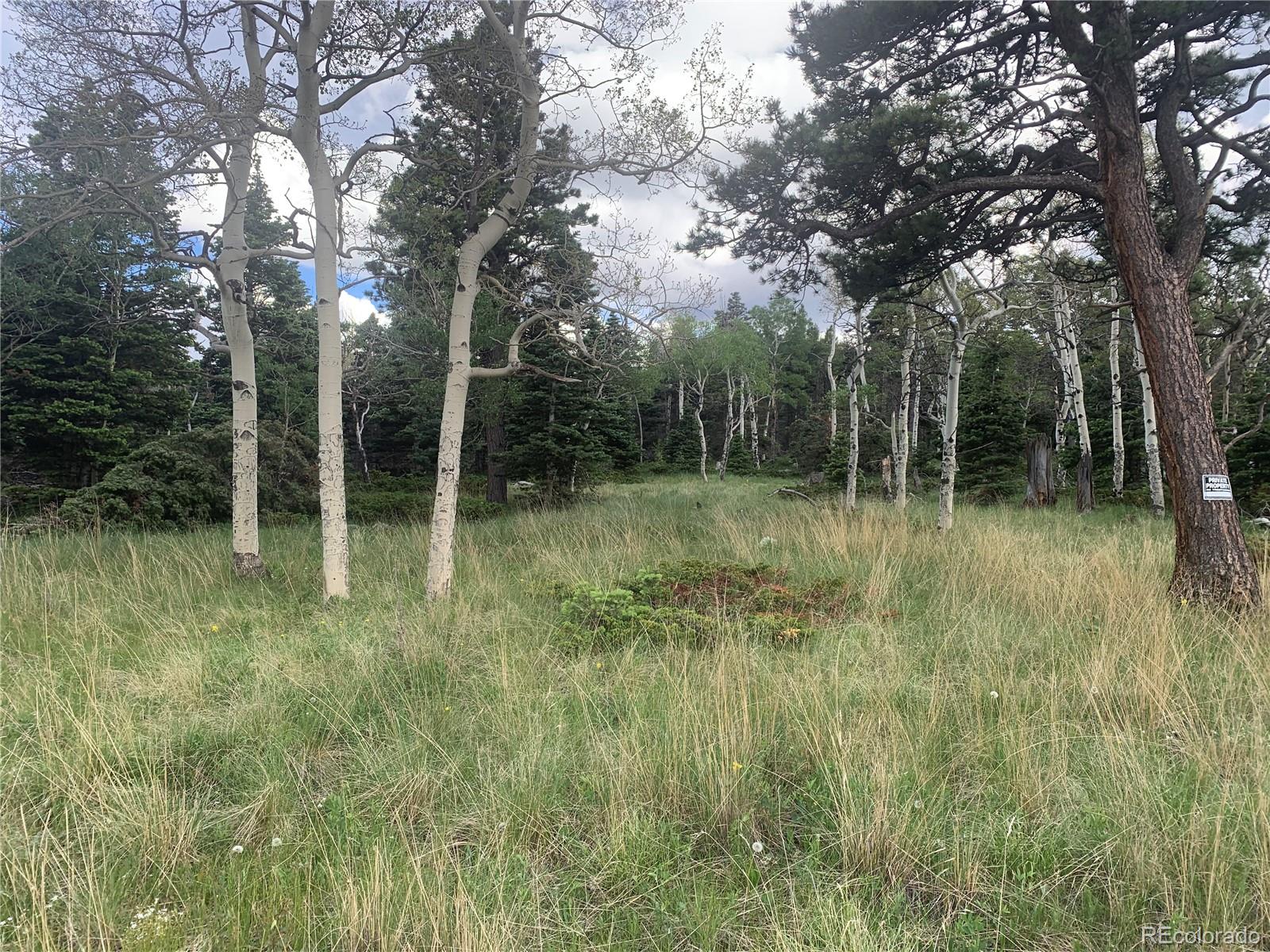 2941 Forbes Park Road Fort Garland CO 81133